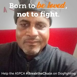 Meet your Posher, Jacques